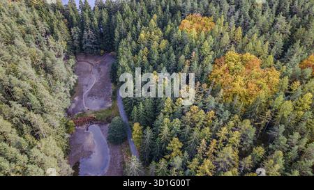 In the forest, the trees are colored in various autumn colors. Small bodies of water are visible, and a road snakes through the majestic plants. Falke Stock Photo