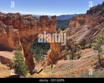 Natural stone arch in an impressive canyon landscape with views of dense forests and steep slopes, Bryce Canyon National Park is located in southweste Stock Photo