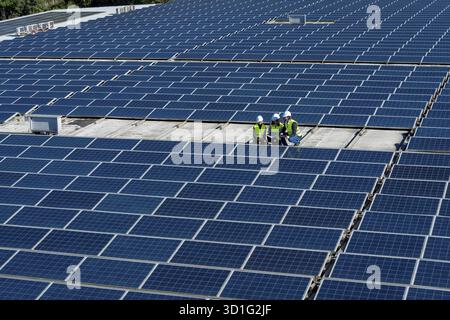 Group of renewable energy technicians reviewing plans and working on a vast array of photovoltaic solar panels, representing sustainable future and cl Stock Photo
