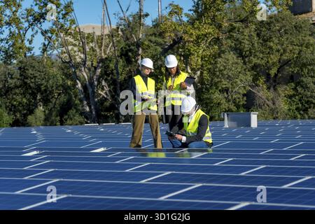 Team of diverse engineers in safety hardhats and vests are collaborating and inspecting the numerous blue solar panels of a large photovoltaic system Stock Photo