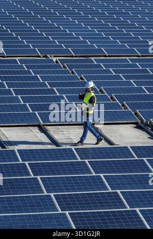 Engineer wearing safety helmet and vest, holding digital tablet and talking on phone while walking among rows of blue solar photovoltaic panels on a r Stock Photo