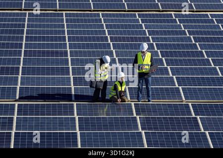 Three engineers inspect a large solar panel array together, checking equipment and performance to maintain efficient photovoltaic production and suppo Stock Photo