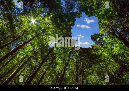 Germany Sustainability Concept Stock Photo