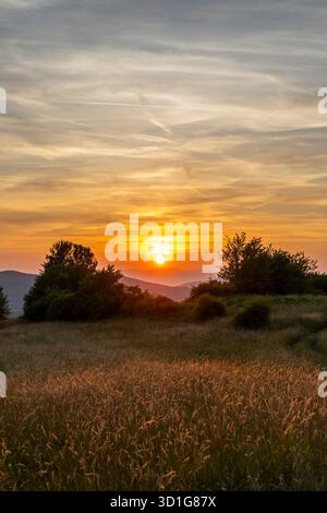 Sun setting behind hills, illuminating Budina field with golden light Stock Photo