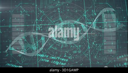 Displaying dotted DNA double helix over digital interface, with circular HUD and code fragments Stock Photo