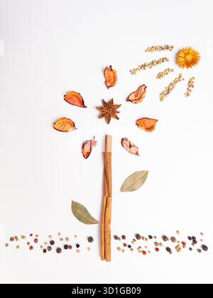 Creative flat lay of a flower made from star anise, dried petals, cinnamon sticks, bay leaves, and various spices on a white background. Minimalist cu Stock Photo