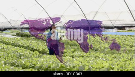 Examining greenhouse lettuce rows, Black agronomist holding tablet with purple world map overlay Stock Photo