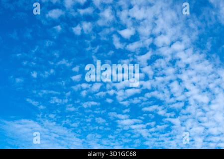 Blue sky and cirrocumulus clouds Stock Photo