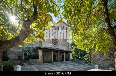 In the morning light, the arched entrance and rose window of the Collegiate Church stand out, framed by trees in Covarrubias, Spain. Stock Photo