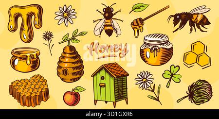 Honey set. Jars and a bee . Hand drawn spoon, honeycomb. Clover and chamomile. Engraved elements for your design. Stock Vector