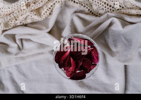 Burgundy flower petals in a glass on a soft beige fabric background with lace. Romantic composition. Minimal aesthetic Stock Photo
