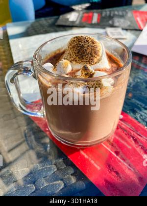 Cup of hot chocolate with toasted marshmallows in a glass cup, vertical Stock Photo