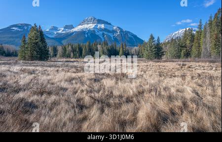 Autumn view of an alpine Meadow in Banff National Park, Alberta, Canada Stock Photo