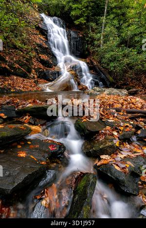 Log Hollow Falls in autumn - Pisgah National Forest, near Brevard, North Carolina, United States Stock Photo