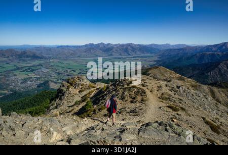 Rear view of a Man hiking on Mt Isobel, Hanmer Forest Park, Canterbury, South Island, New Zealand Stock Photo