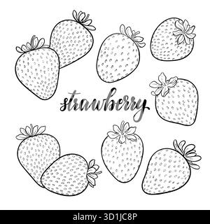 set of Beautiful cartoon black and white outline strawberries with lettering text strawberry. design holiday greeting card and invitation of seasonal Stock Vector
