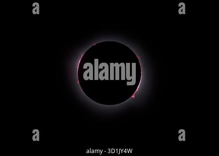 Solar prominences during a total solar eclipse in 2024. Solar prominences appear as bright pink or red loops or arcs extending from the Sun's limb during the brief period of totality in a total solar eclipse. They are large, cooler plasma structures anchored to the Sun's surface by magnetic fields. Image captured from Clarksville, Texas, USA. Stock Photo