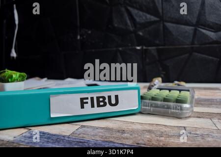 Folders with the label fibu. Business management concept Stock Photo