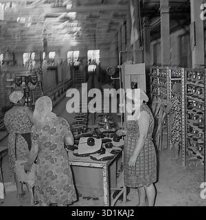 USSR, Ukrainian SSR, 1970s. Sloviansk, Donetsk Oblast. Sloviansk Armature and Insulator Plant (AIZ). A large factory workshop showing the production process. A brigade of four female workers in dresses, aprons, and headscarves works at the assembly line. Two women inspect insulator components at a table, while two others place them on tall metal racks for drying or firing. A long conveyor belt runs down the center of the industrial interior. Archival black and white photo of Soviet manual labor. Stock Photo