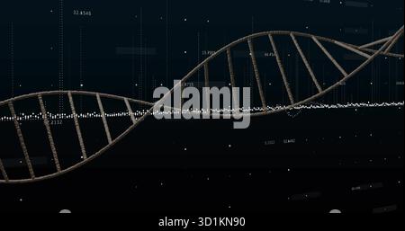 Displaying DNA helix undulating across data canvas, with glowing points and numeric grid overlays Stock Photo