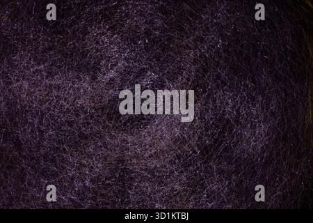 macro shot captures a dense, chaotic network of fine, glowing purple fibers against a deep black backdrop, creating a textured, almost cosmic pattern Stock Photo