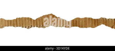 Horizontal close-up single strip of torn, brown corrugated cardboard with rough edges, centered against clean white background Stock Photo