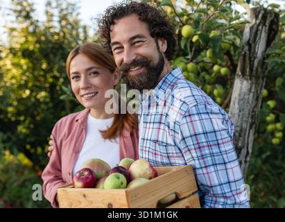 Couple smiles while holding wooden crate of fresh apples in an orchard. Trees loaded with ripe apples surround them under clear blue skies Stock Photo