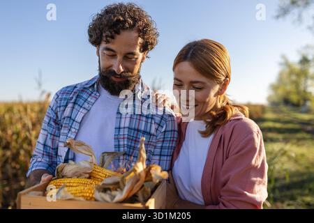 Two people share joyful moment while holding a box of freshly harvested corn in a sunny field, surrounded by plants Stock Photo