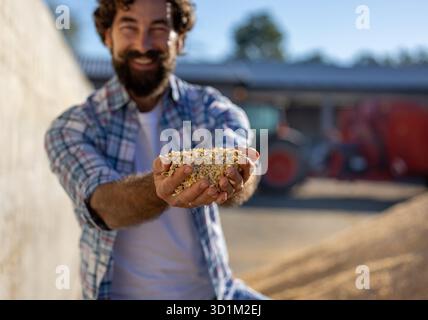 Male farmer holds cattle feed corn silage in his hands while standing near a pile on a ranch, with a tractor and feed mixer visible in the background Stock Photo