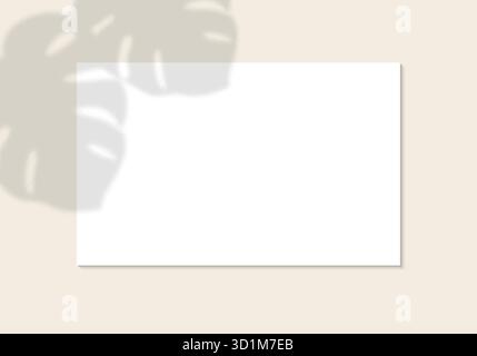 White horizontal paper sheet with shadow overlay tropical palm leaf. Vertical business Card or wedding invitation mock up. Template Flyer, card Stock Vector