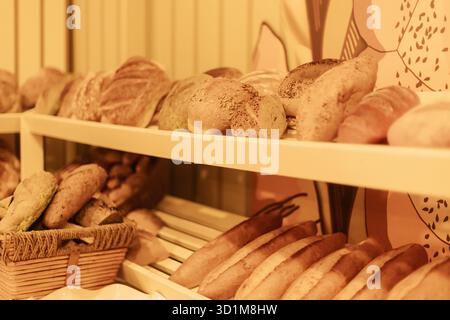 Shelves filled with various types of freshly baked bread in a warm and inviting bakery. The soft lighting enhances the rustic charm and showcases the Stock Photo