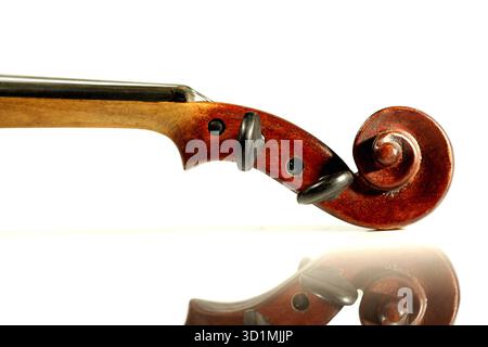 Violin scroll isolated on white background Stock Photo