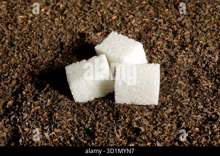 Sugar cubes on dried leafs of tea Stock Photo