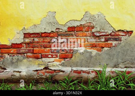 Defected wall with some grass on the bottom Stock Photo