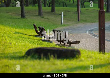 Three empty wooden park benches illuminated by sunlight at dawn in tranquil park lined with curving gravel path, tall trees, and vibrant green grass. Stock Photo