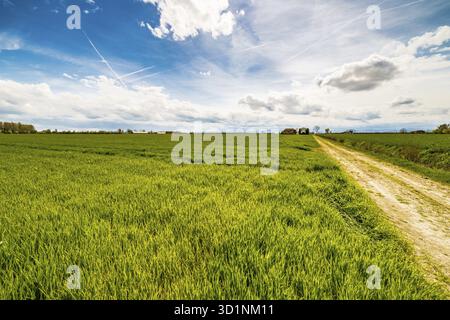 Dirt country road running towards the horizon through green fields of the Po Valley in Romagna, Italy Stock Photo
