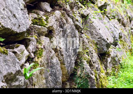 Old retaining wall constructed from massive stone blocks overgrown with grass Stock Photo