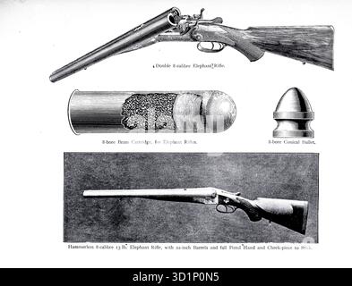 A double 8 calibre Elephant Rifle, 8 bore brass cartridge for Elephant Rifle, 8-bore conical bullet, Hammerless 8-calibre 13 lb Elephant Rifle with 22-inch barrels and full pistol hand and cheek piece to stick from ' The gun and its development ' by Greener, W. W. (William Wellington) Publication date 1897 Stock Photo