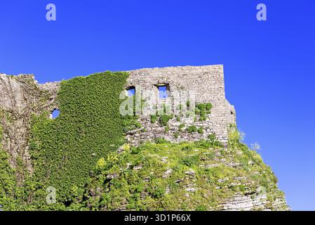 Old fortress stone wall covered with vegetation and roots, Sicily Stock Photo