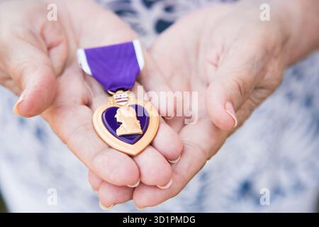 Senior Woman Holding The Military Purple Heart Medal In Her Hands. Stock Photo