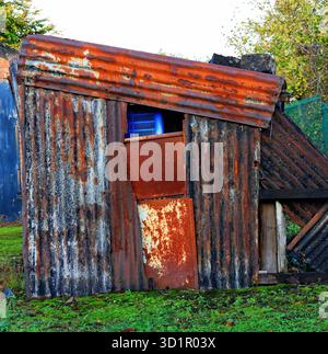 A blue crate hides within a shed made from corrugated iron sheets, a tin shed near Burscough. Stock Photo