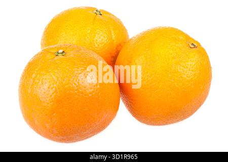 Three fresh oranges isolated on white Stock Photo