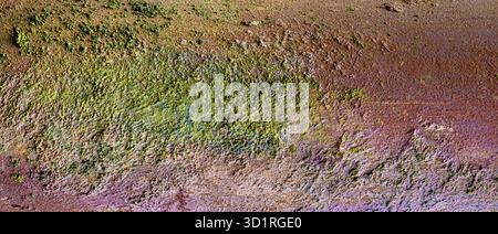 Close-up view of weathered stone showing aged surface patterns, cracks, and organic variation. Perfect for rustic backgrounds. Stock Photo
