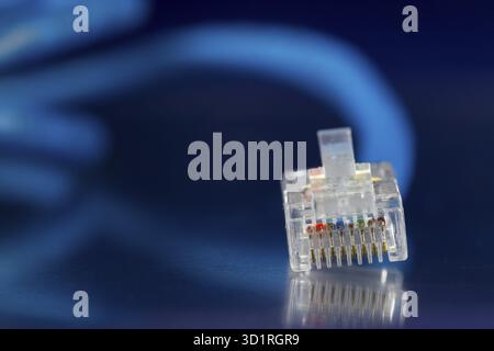 LAN Network Ethernet Cable isolated on a blue background Stock Photo