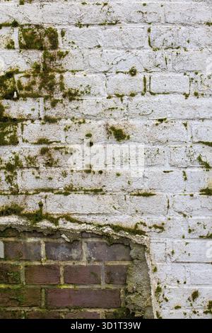 Background weathered brick wall with white plastering Stock Photo