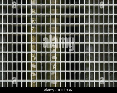 Metal grid with rectangular openings and mossy background. Texture-focused. Close-up. Copyspace. Stock Photo