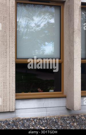 Windows in modern building. Stock Photo