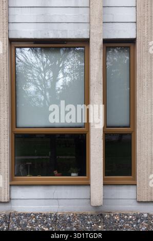 Windows in modern building. Stock Photo