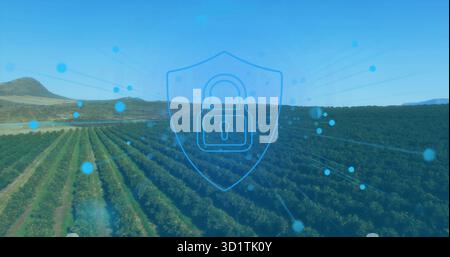 Displaying padlock in shield outline overlay over orchard rows, with glowing nodes, radiating lines Stock Photo