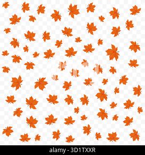 Scattered orange maple leaves on transparent background for autumn and Thanksgiving design Stock Vector